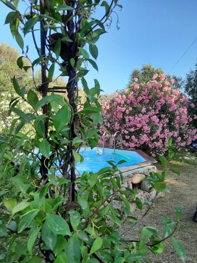 Mini Villa Giuseppina Bonifacio  Zewnętrze zdjęcie